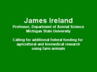 James Ireland on Large-Animal Research
