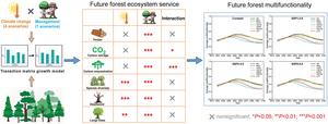 GRAPHICAL ABSTRACT