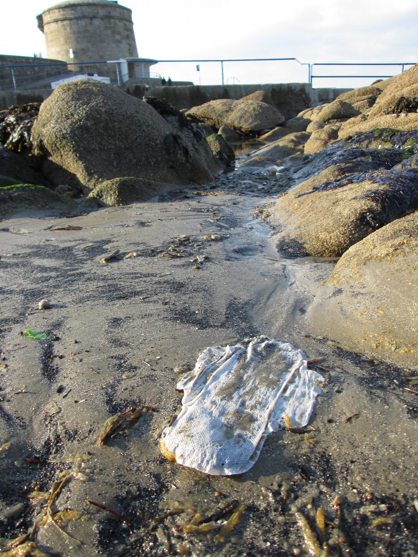 Awareness is barrier to 'plasticfree periods EurekAlert!