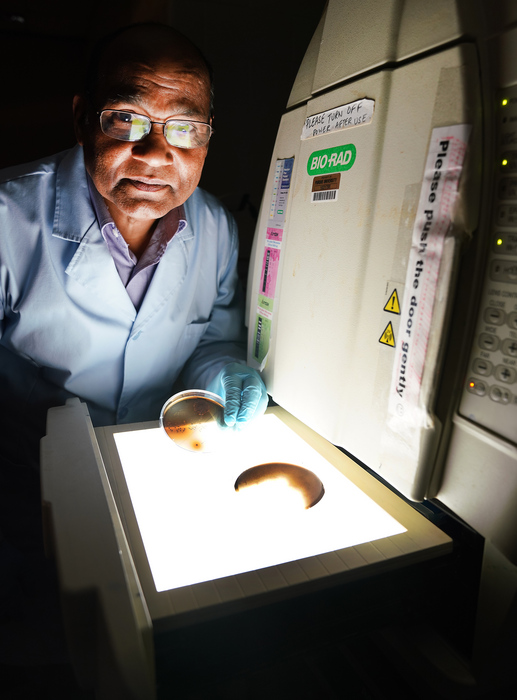 The foodborne pathogen Listeria monocytogenes