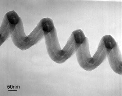 Nanoscale Pasta: Spiral Nanofiber