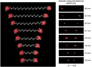 'Nanometer rulers'