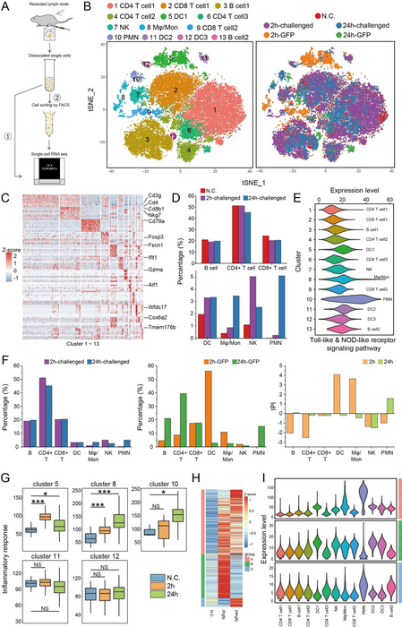 Single-cell transcriptome profiles of mouse ILNs during the early stage of bubonic plague
