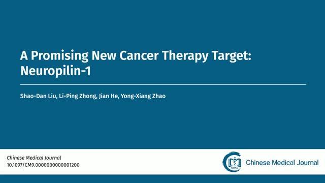 Targeting neuropilin-1 is a feasible way of developing effective cancer therapies