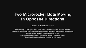 Microrocker_Movie S2