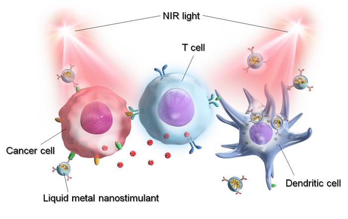 Light-activatable liquid metal nanostimulant in cancer therapy