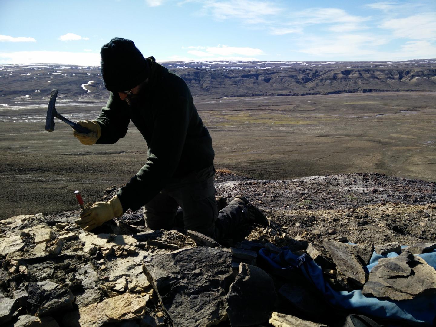 Christopher West Hunts for Fossils