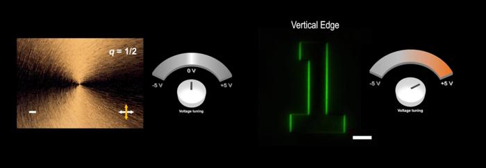 Dynamic switching under different electric field and corresponding optical edge detection