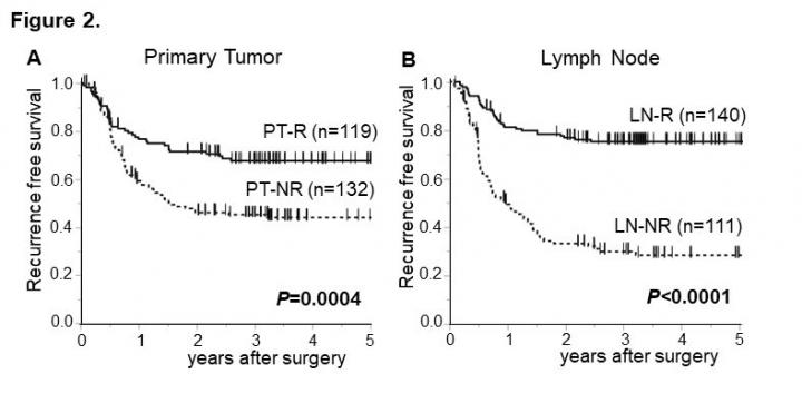 Recurrence-Free Survival Among NACT Responders 