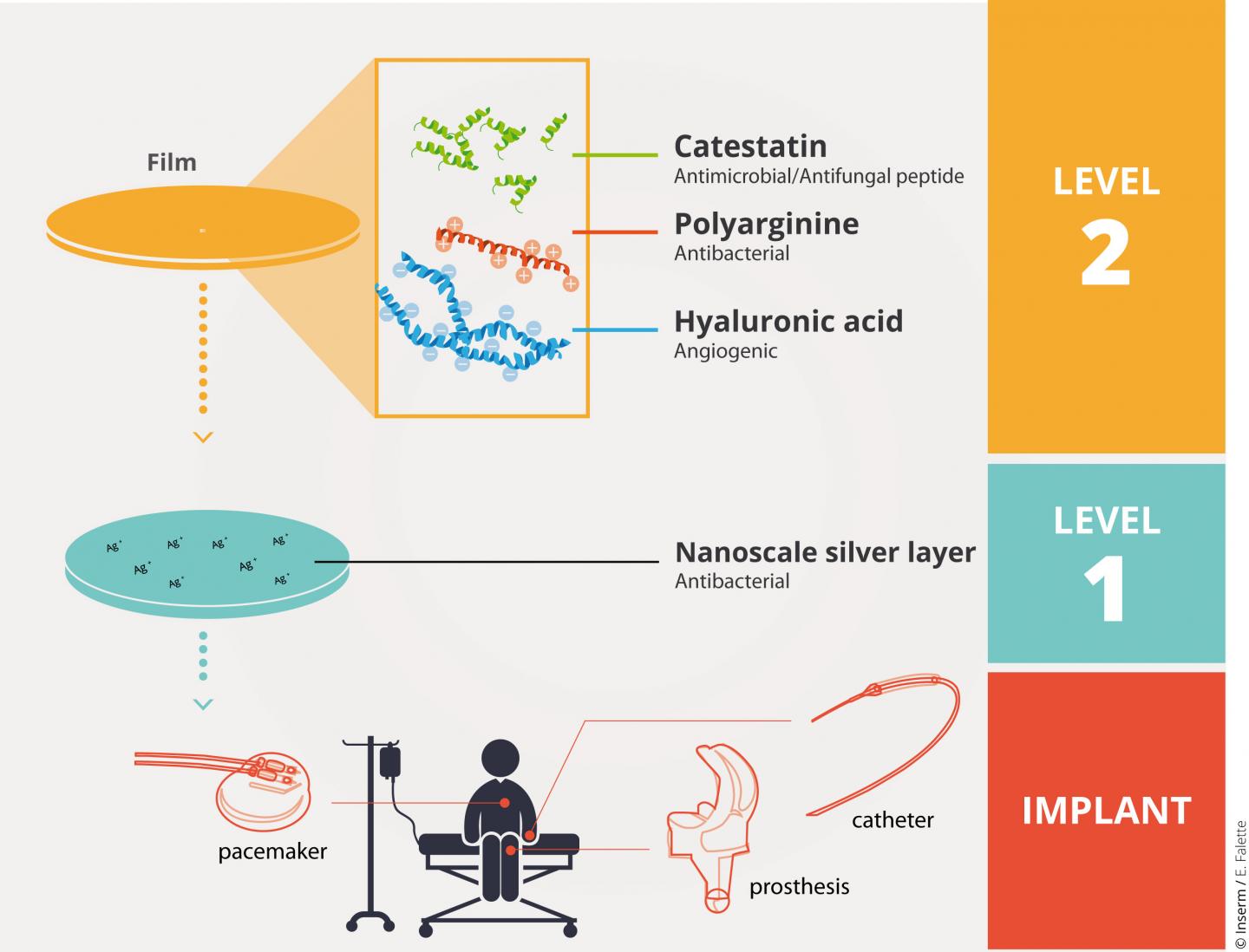 Antimicrobial Film for Future Implants