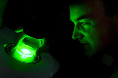 Jon Pierce-Shimomura,   	 University of Texas at Austin (2 of 2)