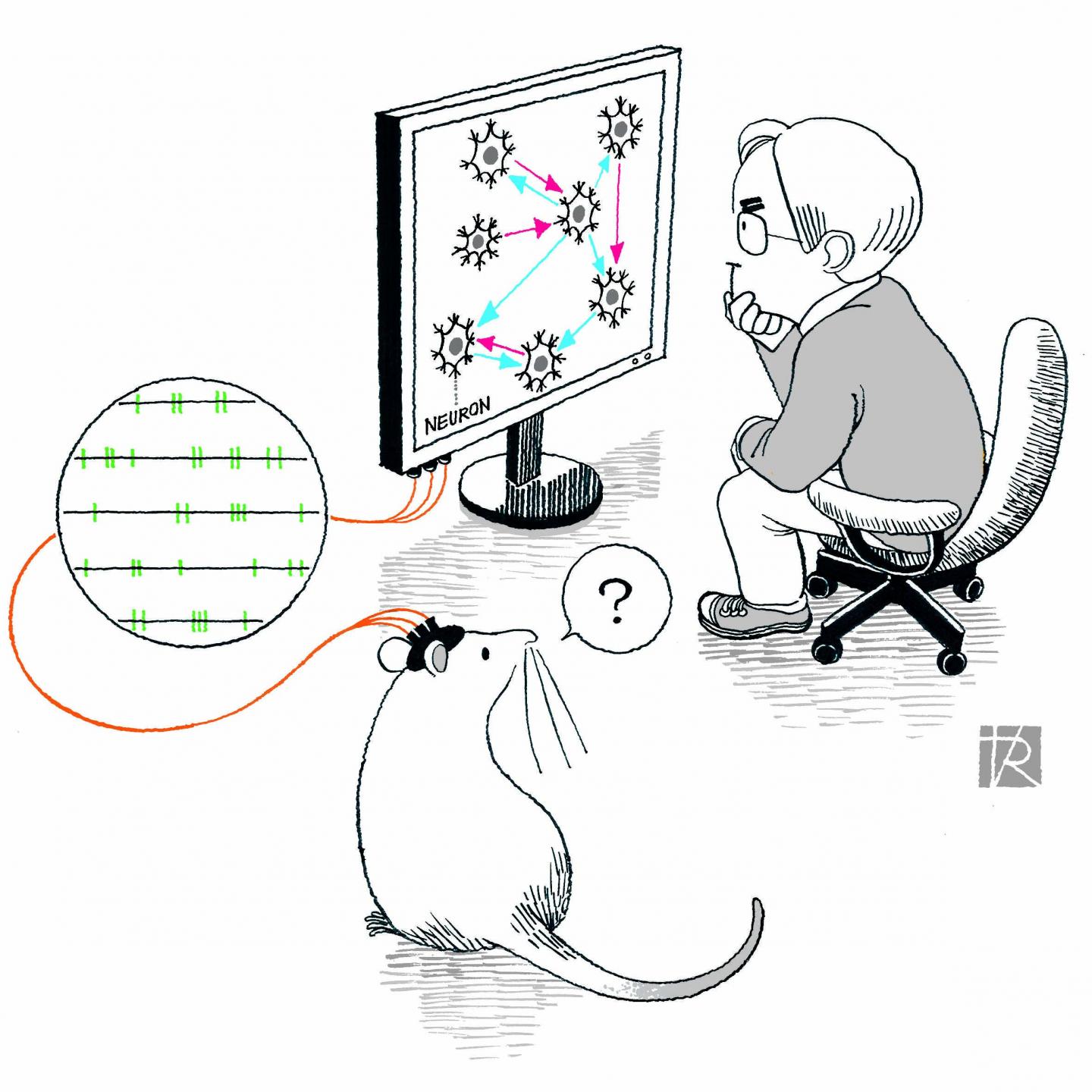 Brain Schematics from Neural Activity