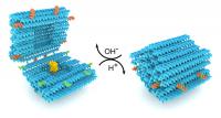 The pH-Responsive DNA Origami Nanocapsule
