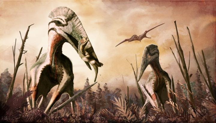 Giant <i>azhdarchid pterosaur Hatzegopteryx</i>