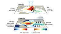 Rainfall Prediction Illustration