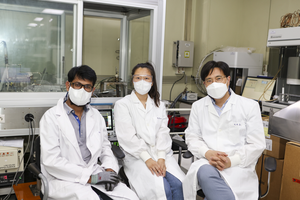 The research team for plasma catalyst-integrated system for green ammonia production method