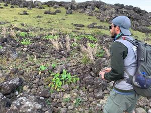 Lithic Mulching