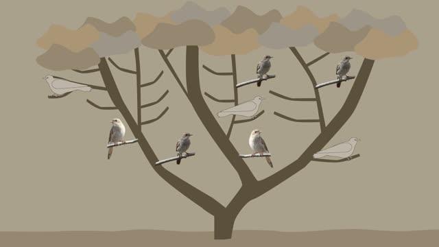 Thorup (2017) Bird Migration