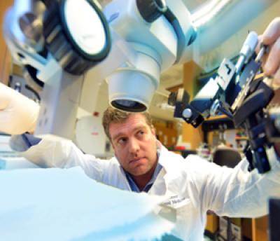 Dr. Paul O'Connor, Georgia Regents University