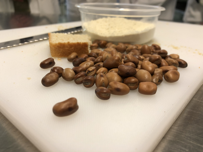 Faba beans (dried) with faba bean flour and bread fortified with faba bean.