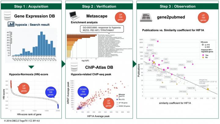 Schematic View of Hypoxic Transcriptome Meta-Analysis