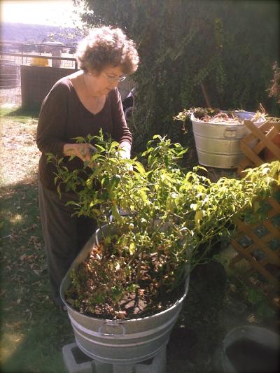 Want More Zest for Life? Consider Gardening!