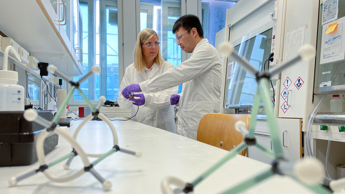 Image from Kasper Moth-Poulsens lab