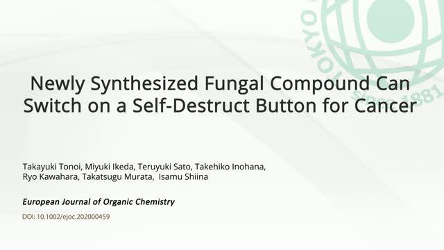 Self-destruct Button for Cancer