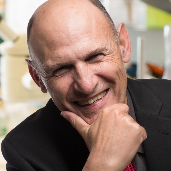 Juan Carlos Izpisua Belmonte, Salk Institute