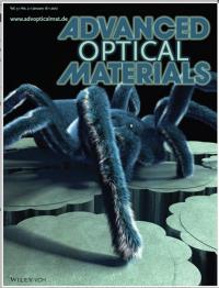 <i>Advanced Optical Materials</i> Cover, January 2017