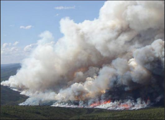 The Arctic is burning