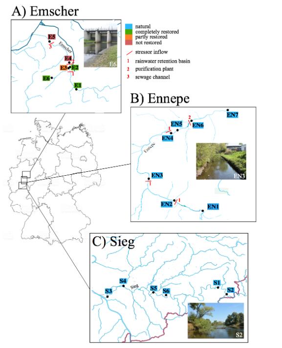 Sample Sites at the Three Rivers in Germany