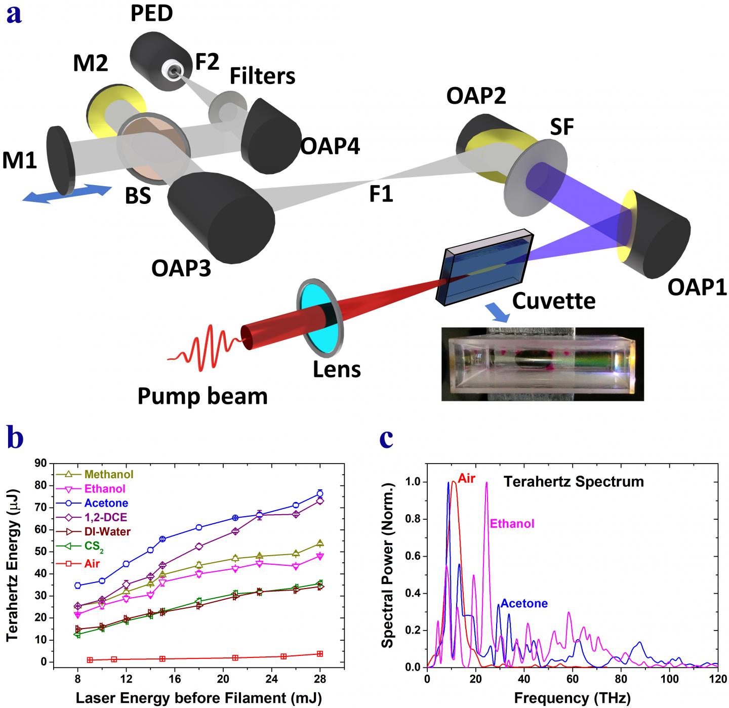 Table Top Liquid Terahertz Source at the Tata Institute of Fundamental Research, Mumbai