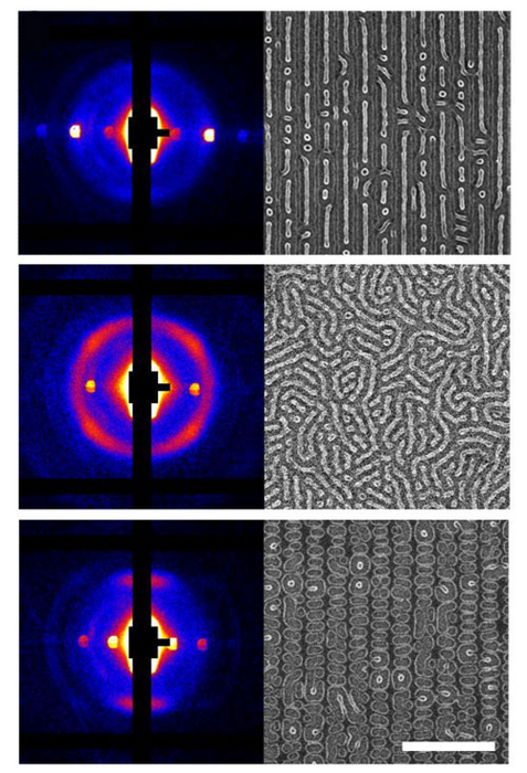 X-ray Data and SEM Images of New Nanostructures