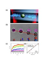 Force trap generated by two counter-directed thermoviscous flow fields with femtoNewton sensitivity