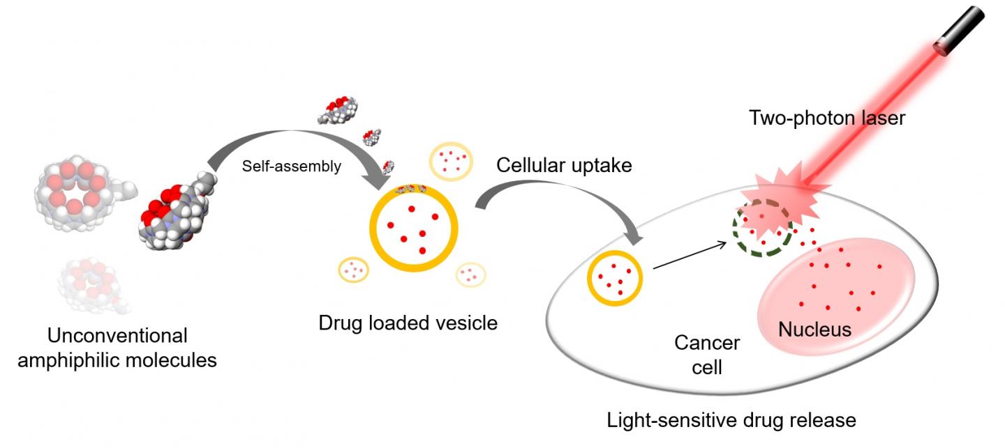 Novel Technology For Anticancer Drug Delivery Eurekalert