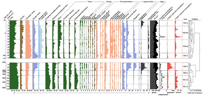 Percentage diagram of selected pollen taxa from the C1 core in Lake Chaohu.