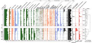 Percentage diagram of selected pollen taxa from the C1 core in Lake Chaohu.