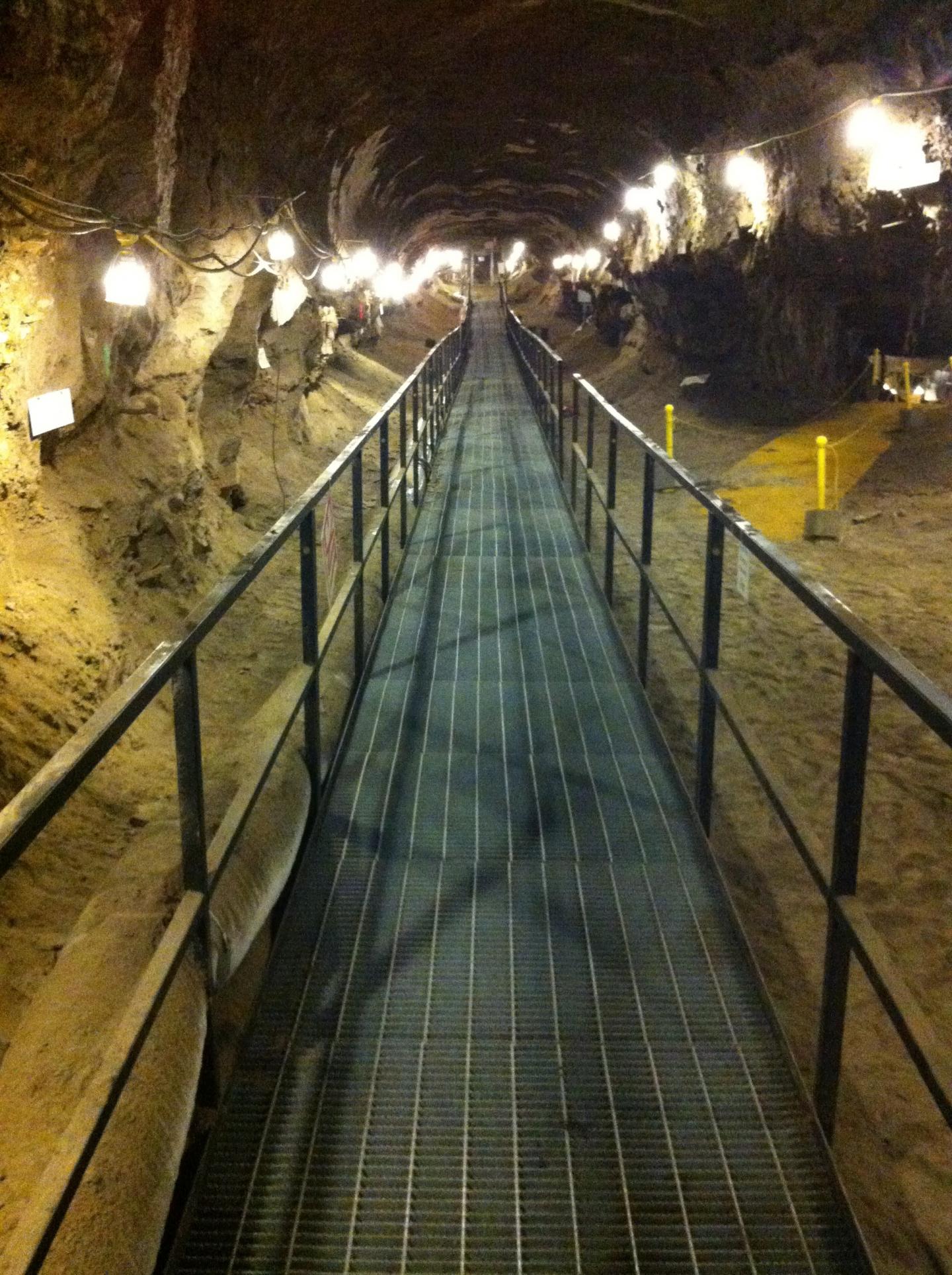 Alaskan Soil Thaw Sends Carbon Back into Atmosphere