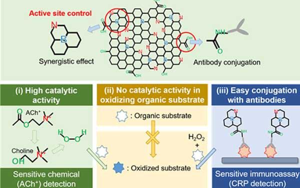Schematic Illustration