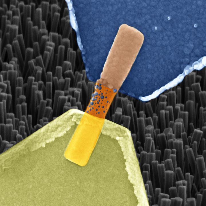 Single Nanowire Memristor