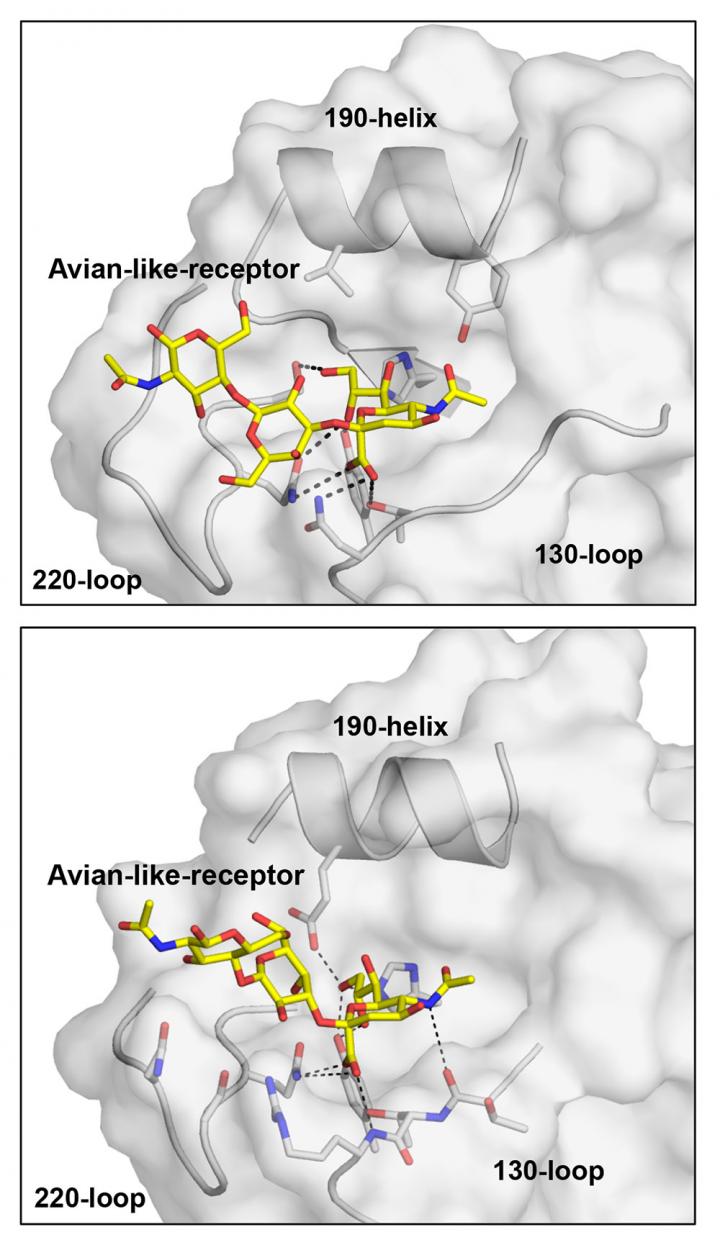 Wilson Paulson Viral Image