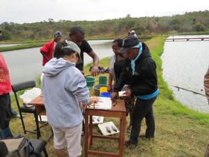 New bioinformatics tool spots hybrid fish that threaten the survival of natural tilapia populations in aquaculture