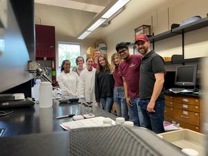 Water quality studies
