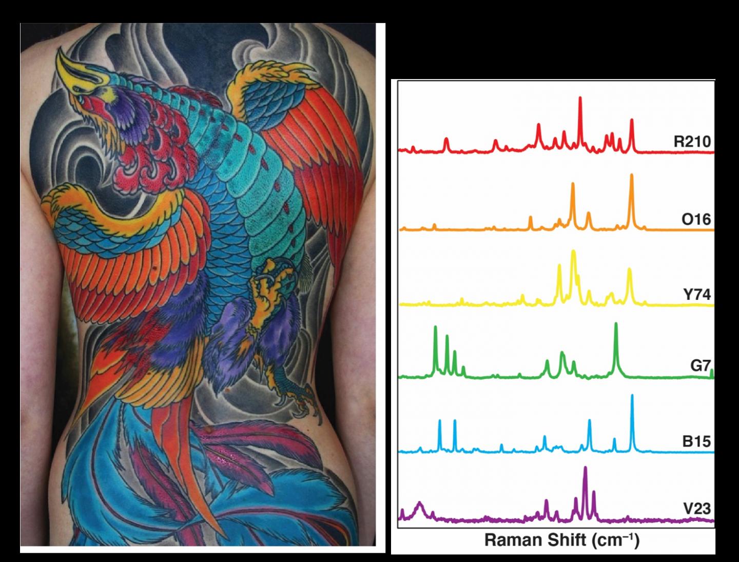 Using Tattoo Ink to Find Cance [IMAGE] EurekAlert! Science News Releases