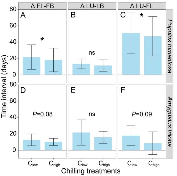 Time intervals under different chilling conditions for Populus tomentosa and Amygdalus trilobal