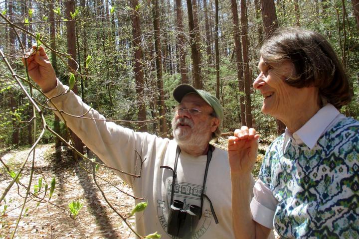 In the Woods with Carol