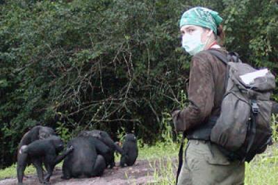 Christophe Boesch, Max Planck Institute for Evolutionary Anthropology
