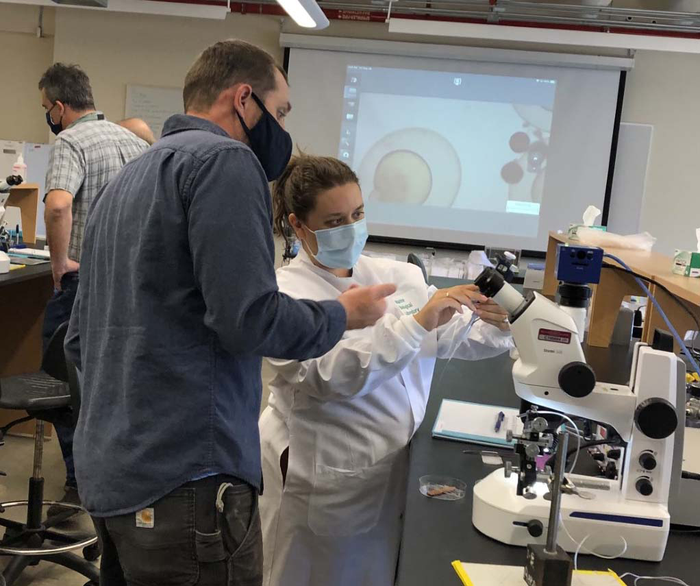Biomedical Fellow Molly Enking learning genome editing in the Logan Science Journalism Program.