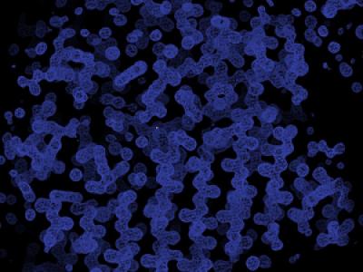 Electron Density Map of <i>Falciparum</i> Enzyme